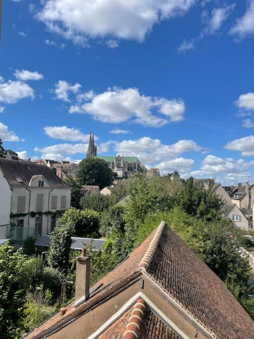 Appartement Duplex Bord De L'Eure - Parking Inclus - Jolie Vue Sur La Cathedrale à Chartres Extérieur photo